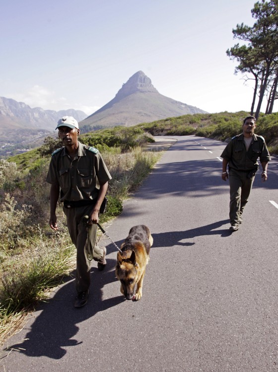 Image: Jeremy Powell, right, and Velile Dolweni, left, patrols Signal Hill with there dog Gino.